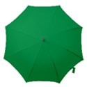 A Green Background With A White Border Hook Handle Umbrellas (Large) View1