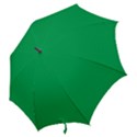 A Green Background With A White Border Hook Handle Umbrellas (Large) View2