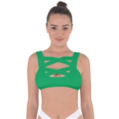 A Green Background With A White Border Bandaged Up Bikini Top by catchydesignhill