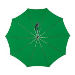 A Green Background With A White Border Automatic Folding Umbrella With Case (large) by catchydesignhill