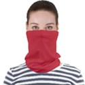 A Red Background With A White Border Face Seamless Bandana (Adult) View1