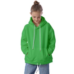 A Green Background With A White Border Kids  Oversized Hoodie