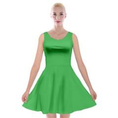 A Green Background With A White Border Velvet Skater Dress