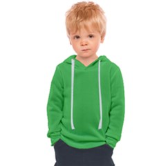 A Green Background With A White Border Kids  Overhead Hoodie