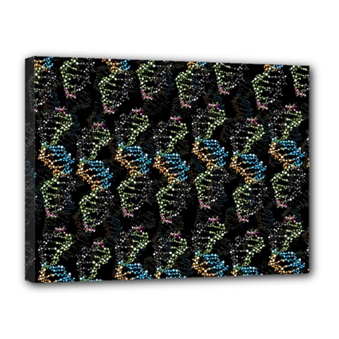 Multicolored Dna Strand Art Canvas 16  X 12  (stretched) by ExtraGoodSauce