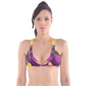 Vibrant Abstract Equine Art Plunge Bikini Top View1