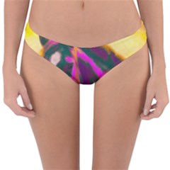 Vibrant Abstract Equine Art Reversible Hipster Bikini Bottoms by ExtraGoodSauce