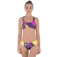 Vibrant Abstract Equine Art Criss Cross Bikini Set by ExtraAwesomeSauce