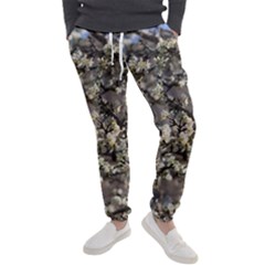 Pear Tree In Full Bloom Men s Jogger Sweatpants by ExtraGoodSauce