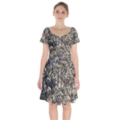 Pear Tree In Full Bloom Short Sleeve Bardot Dress