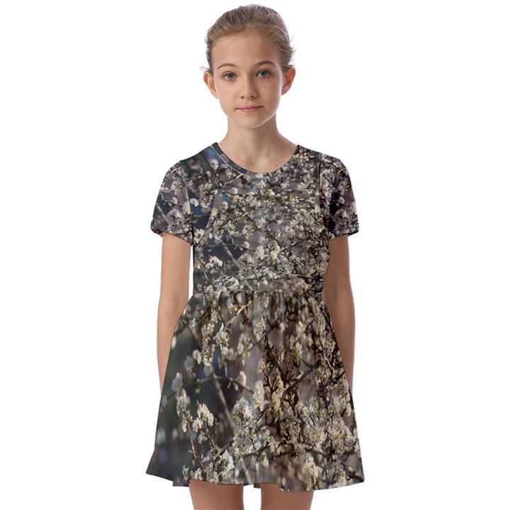 Pear Tree in Full Bloom Kids  Short Sleeve Pinafore Style Dress