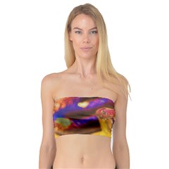 Vibrant Forked-tongue Snake Art Bandeau Top by ExtraGoodSauce