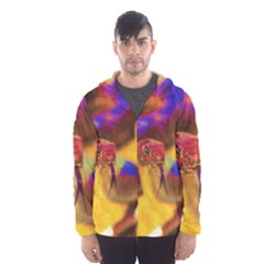 Vibrant Forked-tongue Snake Art Men s Hooded Windbreaker