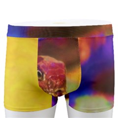 Vibrant Forked-tongue Snake Art Men s Boxer Briefs by ExtraGoodSauce