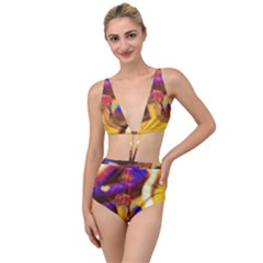 Vibrant Forked-tongue Snake Art Tied Up Two Piece Swimsuit by ExtraGoodSauce