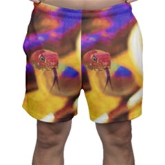 Vibrant Forked-tongue Snake Art Men s Shorts by ExtraGoodSauce