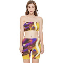 Vibrant Forked-tongue Snake Art Stretch Shorts And Tube Top Set by ExtraGoodSauce