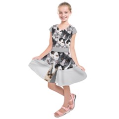 Black & Gray Cats Face Kids  Short Sleeve Dress by CoolDesigns