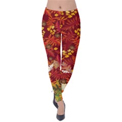 Dark Red Autumn Leaf Pattern Velvet Leggings