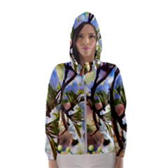 Springtime Pear Tree Blossoms Women s Hooded Windbreaker