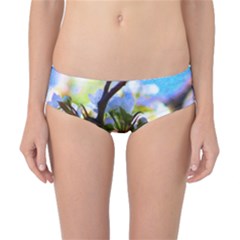 Springtime Pear Tree Blossoms Classic Bikini Bottoms by ExtraGoodSauce