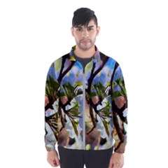 Springtime Pear Tree Blossoms Men s Windbreaker