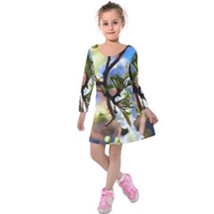 Springtime Pear Tree Blossoms Kids  Long Sleeve Velvet Dress