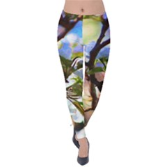 Springtime Pear Tree Blossoms Velvet Leggings by ExtraGoodSauce