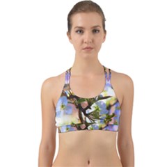 Springtime Pear Tree Blossoms Back Web Sports Bra by ExtraGoodSauce