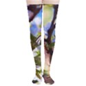 Springtime Pear Tree Blossoms Thigh High Stockings View1