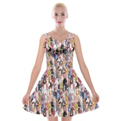 Colourful Cartoon Horses Soft Velvet Skater Dress