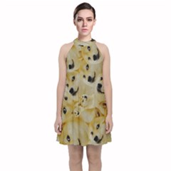 Doge , Memes Velvet Halter Neckline Dress 