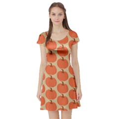 Cute Pumpkin Short Sleeve Skater Dress by ConteMonfrey