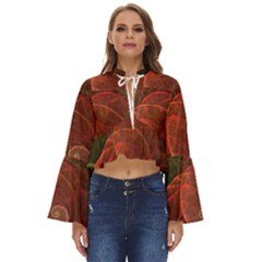 Falupadupe Boho Long Bell Sleeve Top