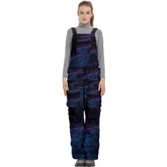 Abstract Feathers Women s Side Zip Front Pouch Ski And Snowboard Bib Pants	