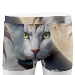 Epic Armored Cat Warrior Men s Boxer Briefs by ExtraGoodSauce