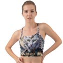 Epic Armored Cat Warrior Mini Tank Bikini Top View1