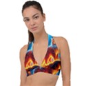 Enchanted Fire Feline Halter Plunge Bikini Top View1