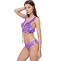 Colorful Labstract Wallpaper Theme Low Cut Ruffle Edge Bikini Set View2