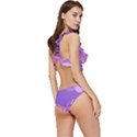 Colorful Labstract Wallpaper Theme Low Cut Ruffle Edge Bikini Set View3