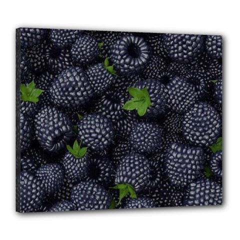 Blackberry Fruit, Fruit Canvas 24  X 20  (stretched)