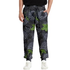 Blackberry Fruit, Fruit Men s Elastic Waist Pants