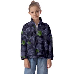 Blackberry Fruit, Fruit Kids  Half Zip Hoodie