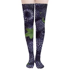 Blackberry Fruit, Fruit Thigh High Stockings