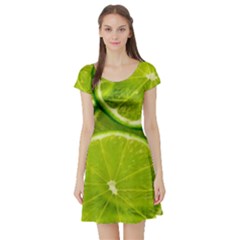 Lime Slices Close Up, Fresh, Fruit, Green Lemon Short Sleeve Skater Dress