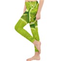 Lime Slices Close Up, Fresh, Fruit, Green Lemon Lightweight Velour Classic Yoga Leggings View3