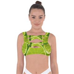 Lime Slices Close Up, Fresh, Fruit, Green Lemon Bandaged Up Bikini Top