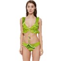 Lime Slices Close Up, Fresh, Fruit, Green Lemon Low Cut Ruffle Edge Bikini Set View1