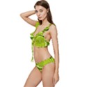 Lime Slices Close Up, Fresh, Fruit, Green Lemon Low Cut Ruffle Edge Bikini Set View2