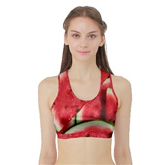 Watermelon, Fruit, Green, Red Sports Bra With Border